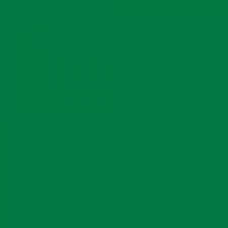 Medium Green permanent gloss craft vinyl